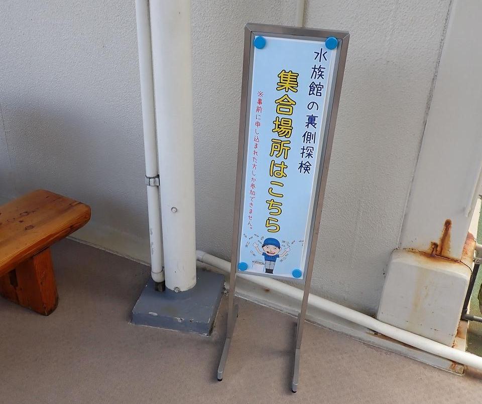 水族館の裏側探検の看板