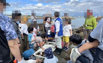 磯の観察会の様子