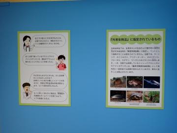 イラスト入りの解説パネル