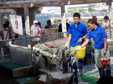 飼育員からエサのアジを受け取るNo.12