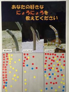 投票してもらったパネル