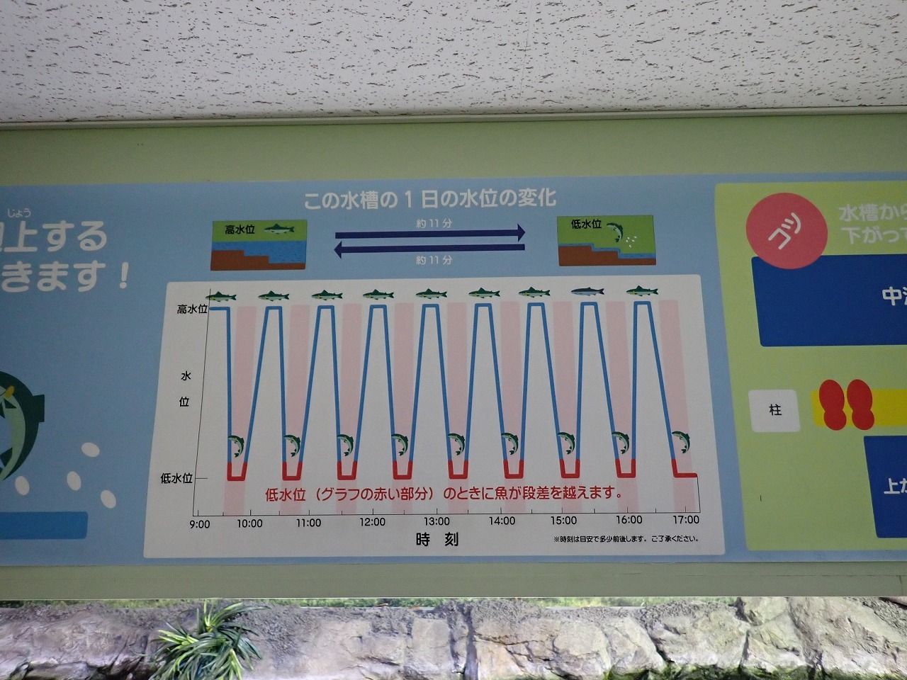 水位変化の時間を表すグラフ