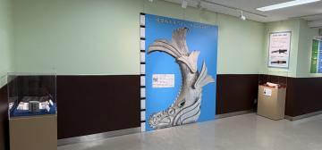 ギャラリーに設置されていたシャチホコパネル