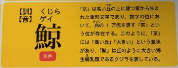 京には丘のように大きいという意味があり、魚へんに京でクジラを表す漢字。