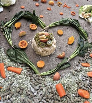 おからのケーキ