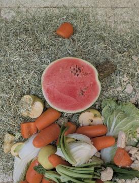 プレゼントの写真2