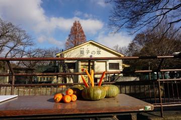 ヤマアラシ舎の写真