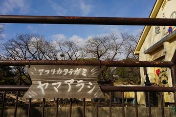 ヤマアラシ舎の写真2