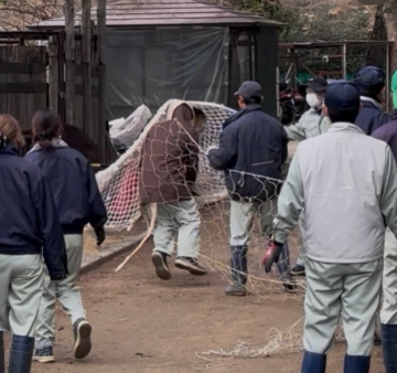 逸走訓練の様子6