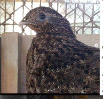 きーやんの写真1