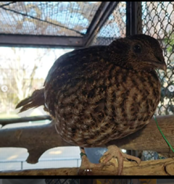 きーやんの写真2