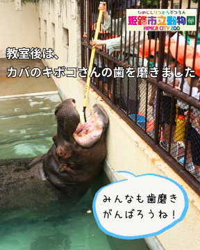 キボコの歯磨きの様子