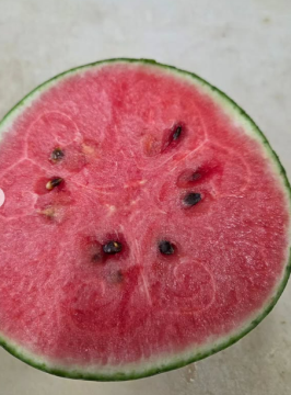 半分に切ったスイカの画像