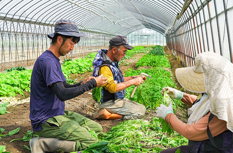 岡本将司さん写真2枚目