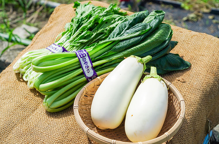 岡本将司さん写真4枚目