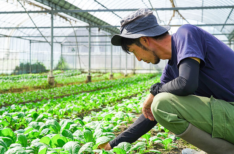岡本将司さん写真5枚目