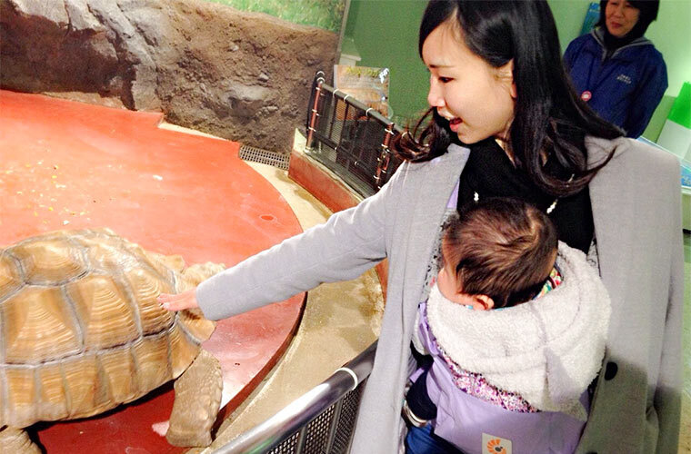 育児に追われる日々