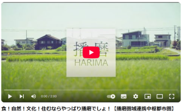 動画内のワンシーン。のどかな田園風景が広がっています。