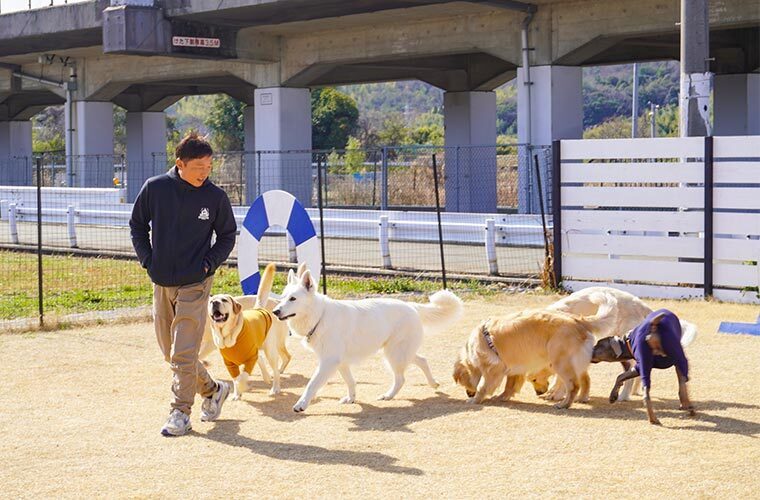 犬の幼稚園