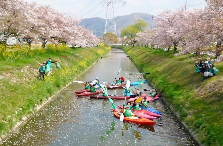 さくらの下でみんなでごみひろい