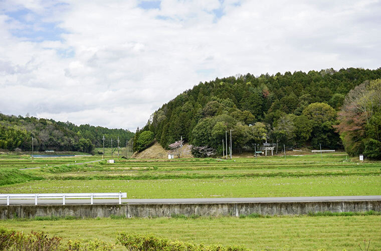 山田町の農地