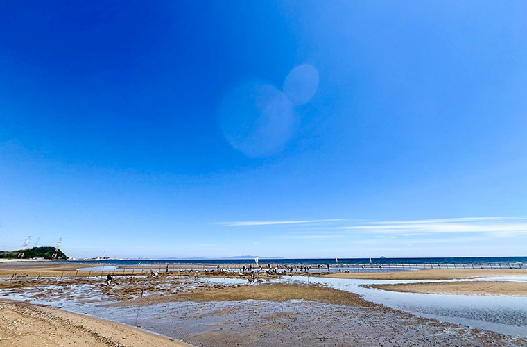 幼いころから親しみのある白浜海岸