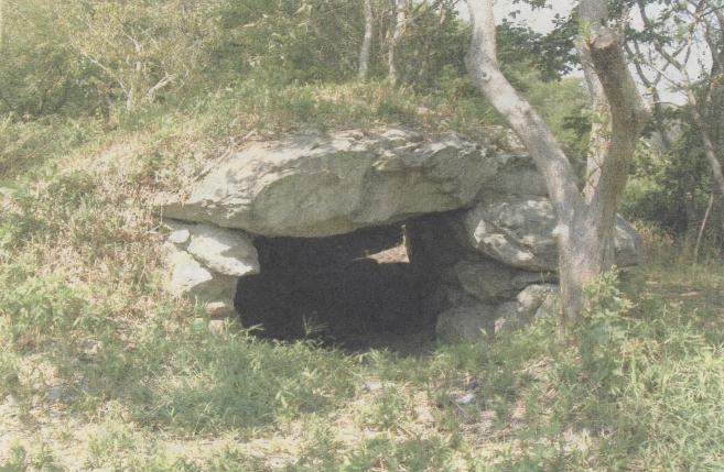 見野古墳群の写真