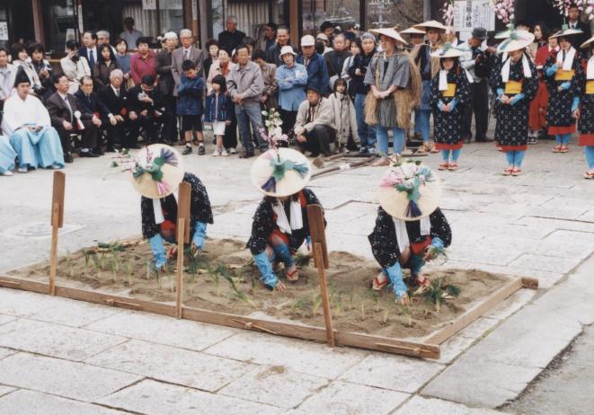 広峯神社御田植祭　附穂揃式・走馬式の写真