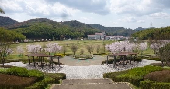 桜山公園の桜開花状況