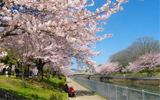 運河公園の写真