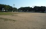津田公園の写真