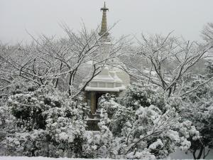 雪景色の写真