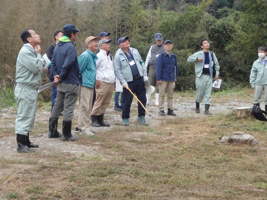 夢咲山自然観察会の様子3
