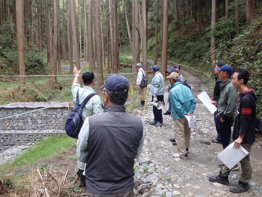 夢咲山自然観察会の様子4