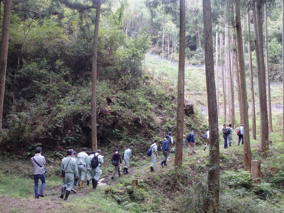 夢咲山自然観察会の様子5