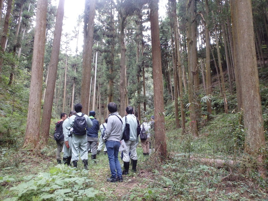 夢咲山自然観察会の様子6