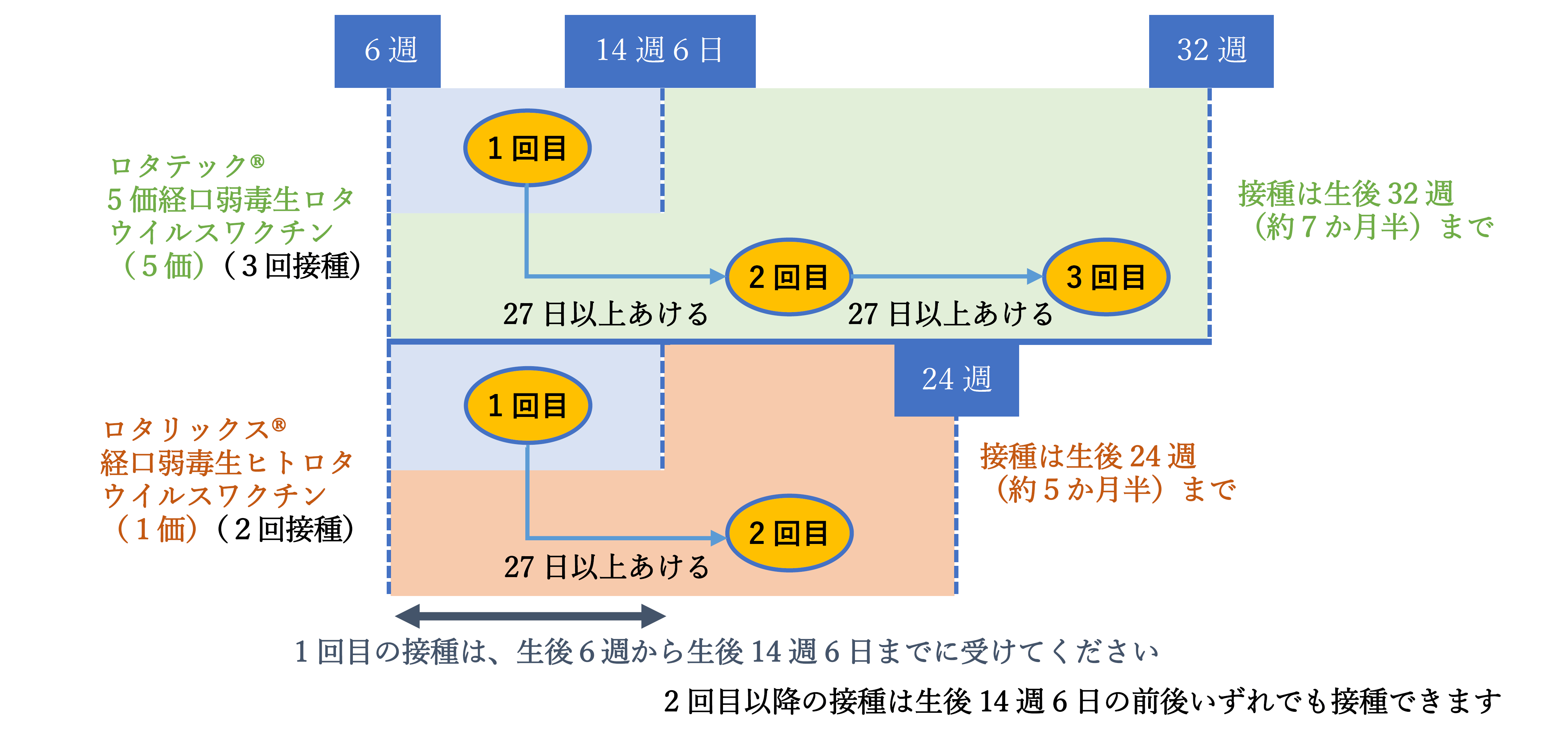 ロタウイルス予防接種のスケジュール