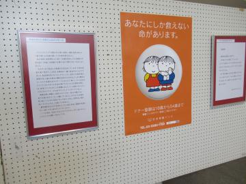 姫路市役所　パネル展の様子　メッセージの掲示