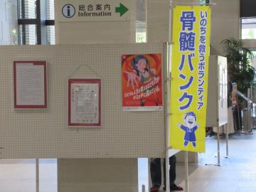 パネル展の様子