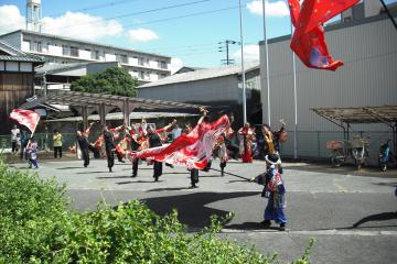 サムライによるよさこい踊りの様子