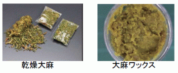 乾燥大麻と大麻ワックスの画像