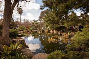 アデレード姫路庭園