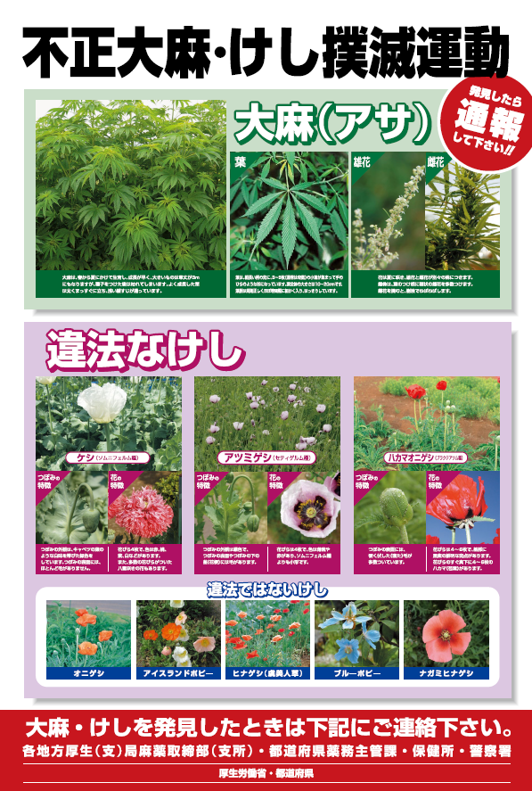 不正大麻・けし撲滅運動