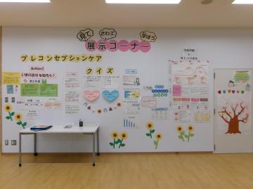 展示の写真