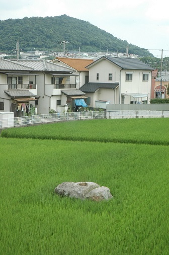 辻井廃寺の写真
