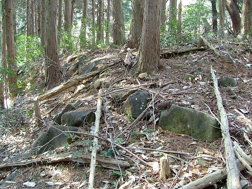 鶏足寺跡の写真