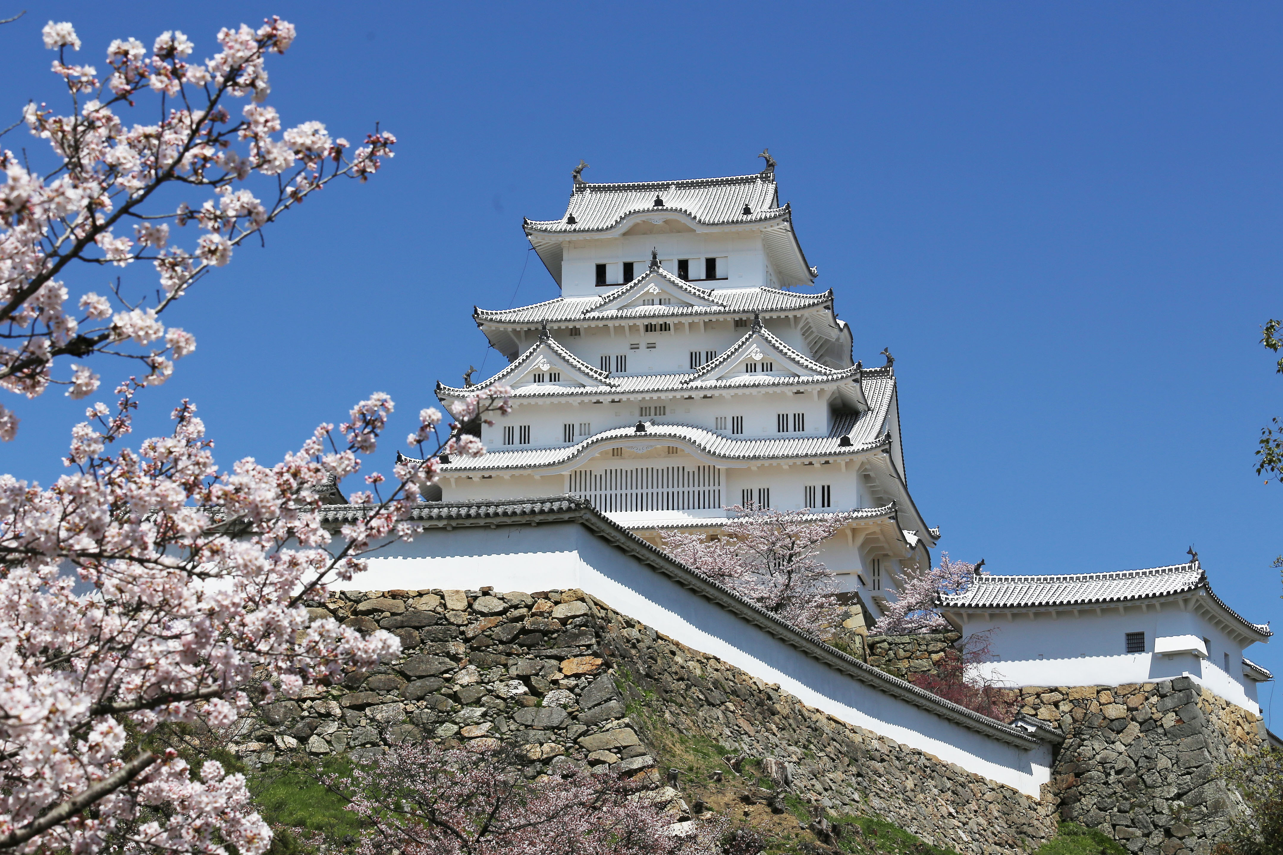 姫路城 改修後 姫路フォトバンク 写真ダウンロードサービス