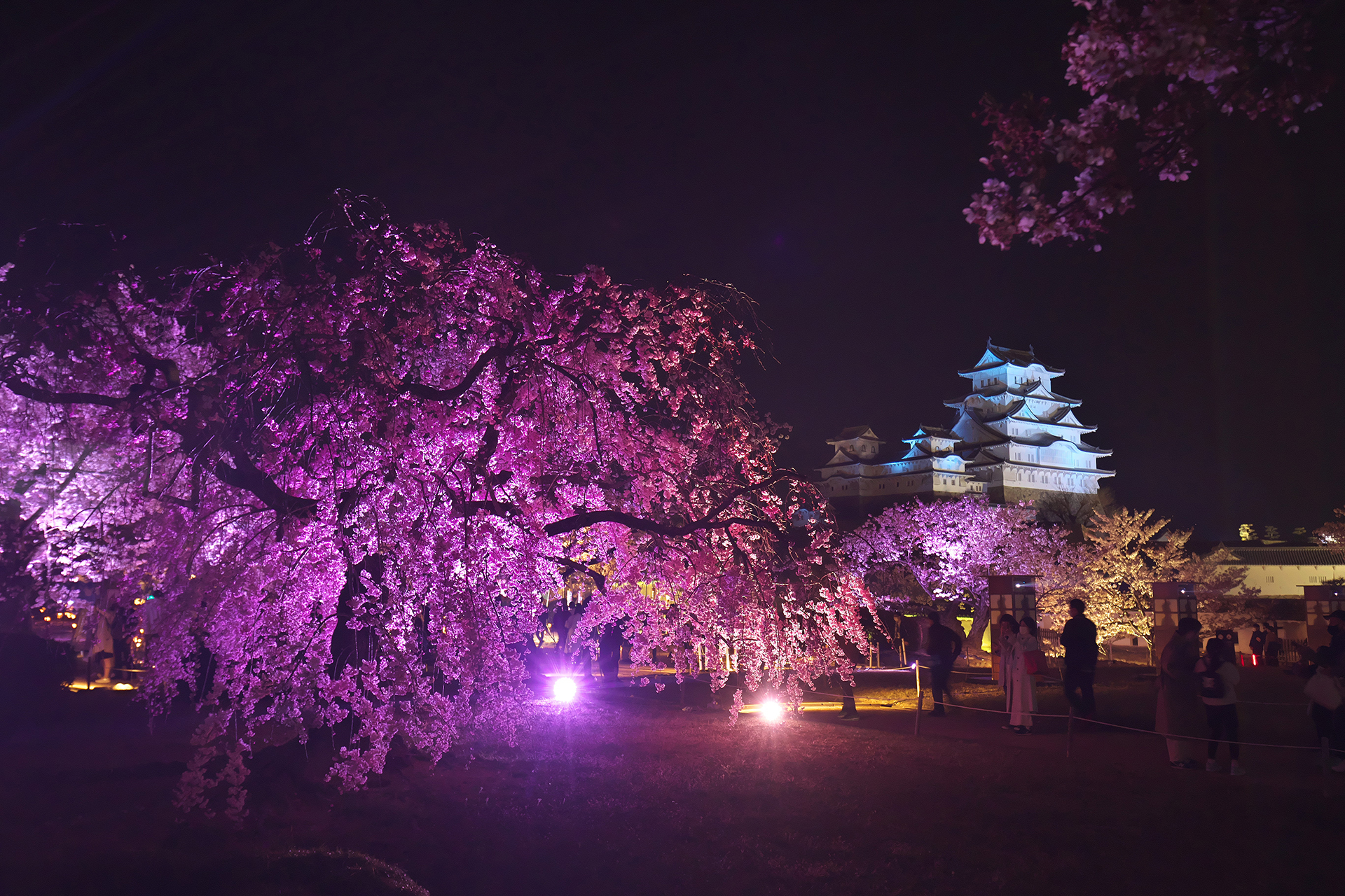 姫路城 改修後 姫路フォトバンク 写真ダウンロードサービス