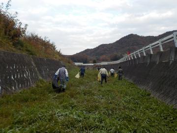 神谷川清掃活動風景その4