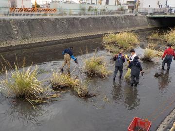 汐入川清掃活動風景その1